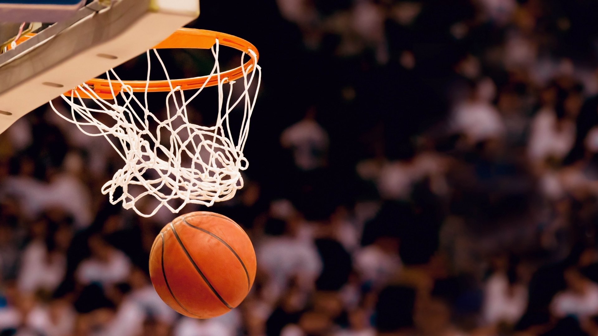 随机NBA宣布开设“全球篮球文化研究中心”，nba全球篮球球员